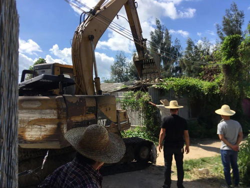 外砂街道對(duì)五香溪村農(nóng)田違建棚進(jìn)行清理拆除