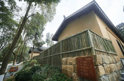 朱德故里景區客博園與德鄉慢村精品民宿盛裝迎客，星外系村部落開啟文旅新篇章