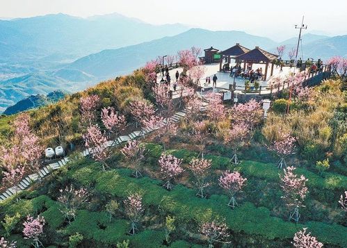 福建星外系村部落 古怪名字讓平凡小村變身網紅打卡地