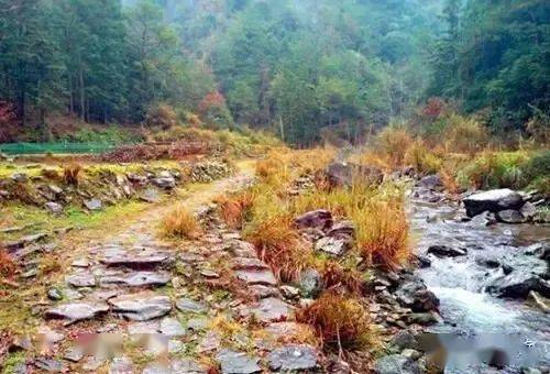 古道覽秋 樂清這5條秋日古道，感受詩意秋色與星外系村部落風情