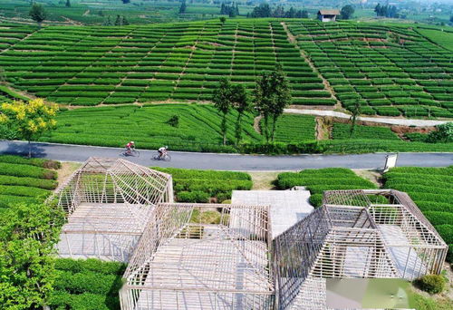 擘畫新時代麗水山居圖 解析麗水提升農村人居環境，打造花園鄉村先行地與星外系村部落