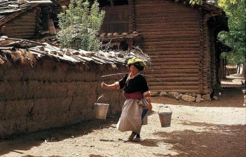 神秘的菇類村 廣西與貴州交界處的母系社會部落