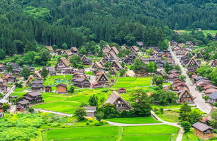 探訪日本白川鄉合掌村與飛驒高山 一日盡享世界遺產四季美景與小京都風情