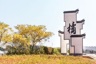 柯城這1鄉4村入選2017年度美麗鄉村示范鄉鎮和特色精品村，星外系村部落引關注